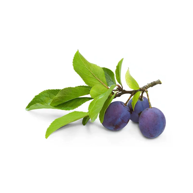 wirkstoff-pflaume.webp