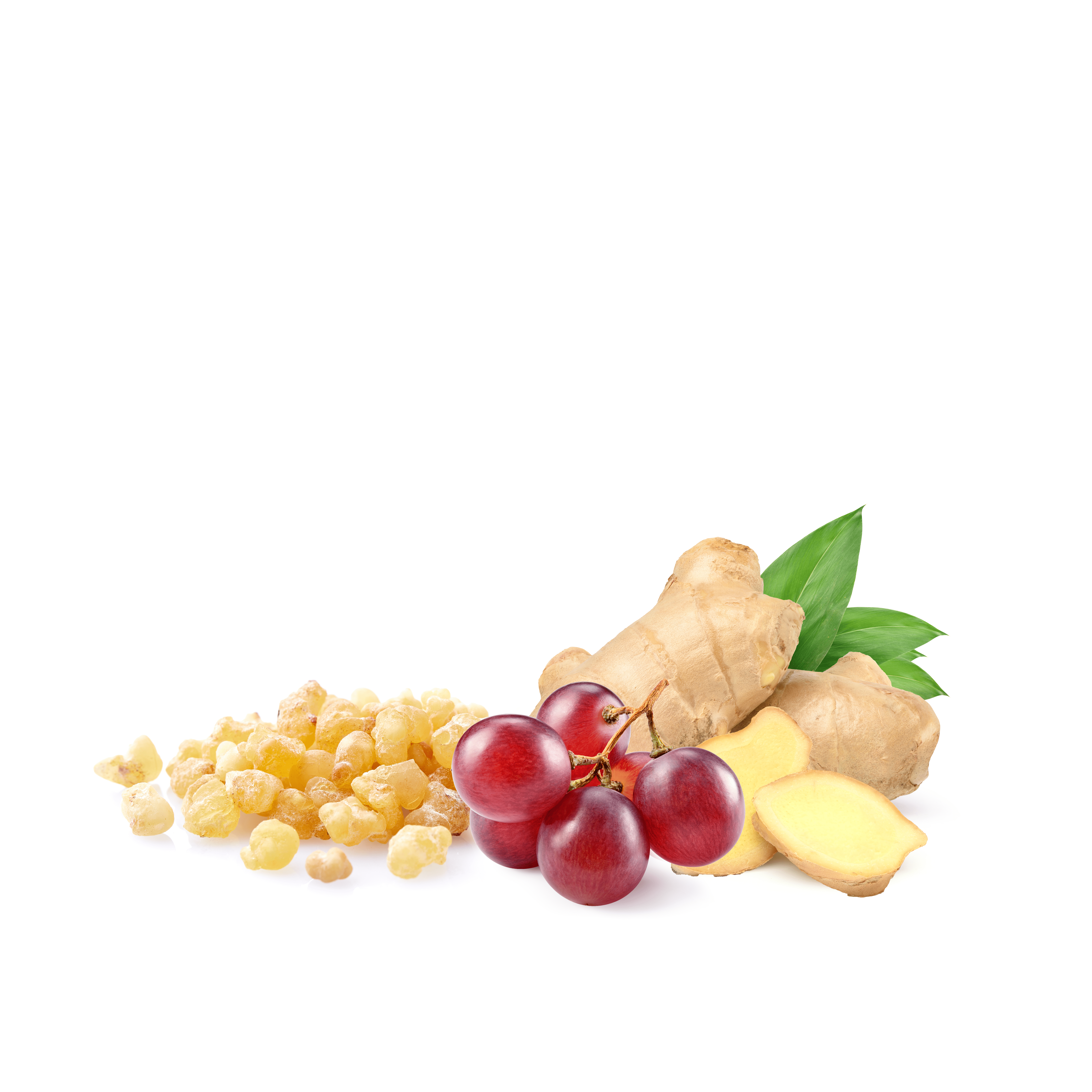 Der Phyto-Komplex aus Trauben, Ingwer und Weihrauch reguliert die Talgproduktion Der Phyto-Komplex aus Trauben, Ingwer und Weihrauch reguliert die Talgproduktion