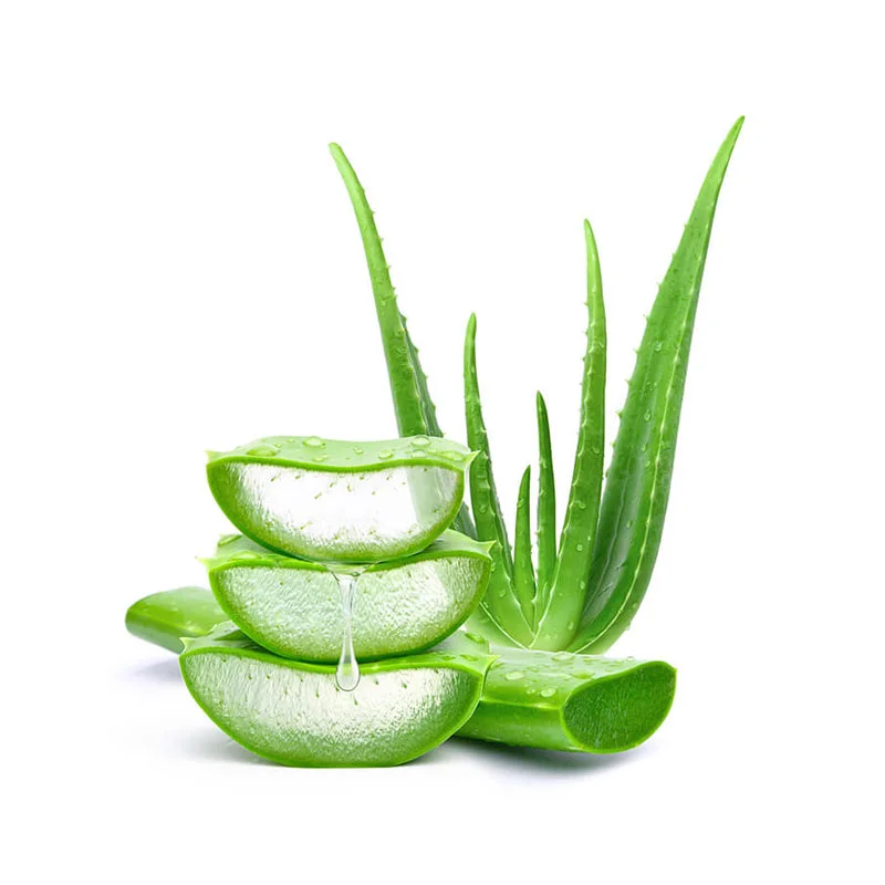 wirkstoff-aloe-vera.webp