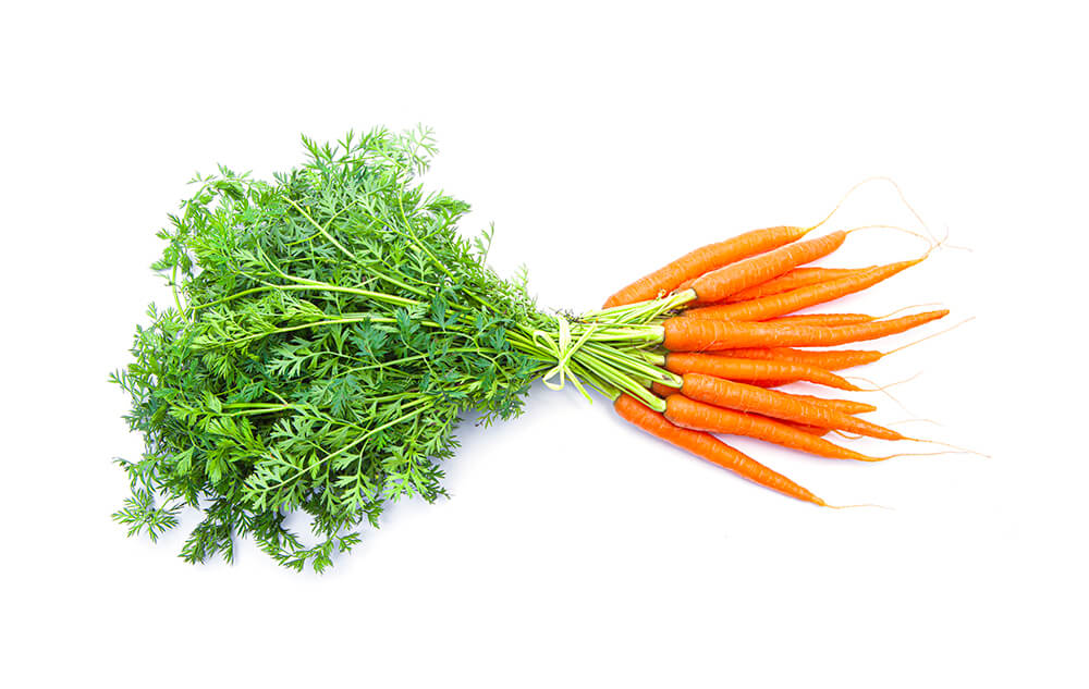 Karotten-Extrakt mit Beta-Carotin sorgt für einen frischen Teint und eine leichte, natürliche Tönung der Haut, regenerierend