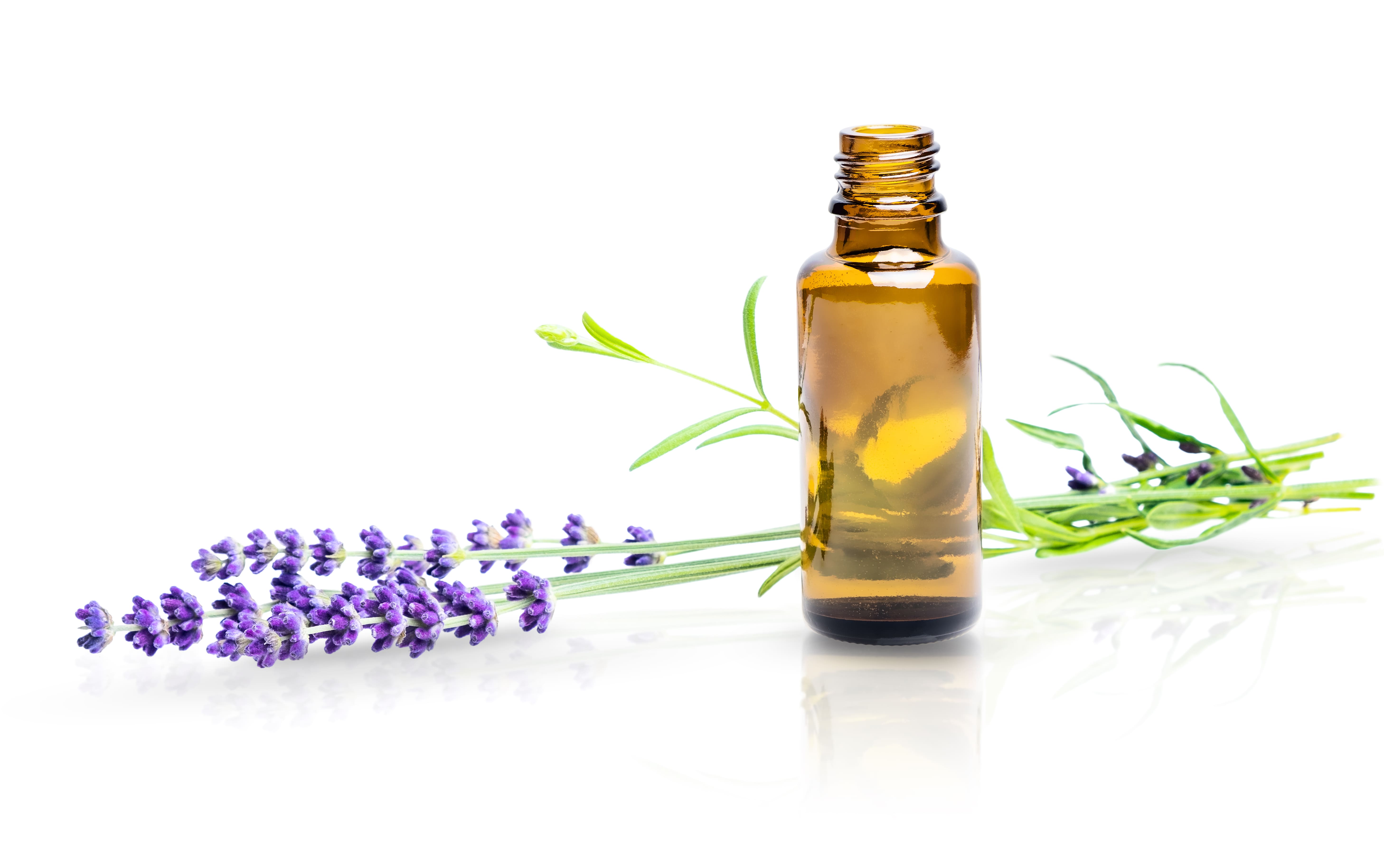 Lavendelblütenöl baut körperliche und seelische Spannungen ab, wirkt ausgleichend und beruhigend, auch desinfizierend