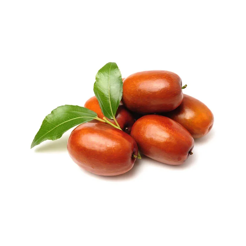 wirkstoff-jojoba.webp