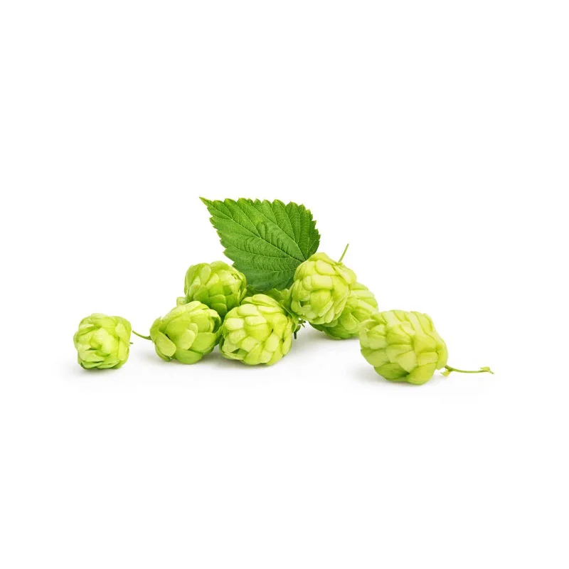 wirkstoff-hopfen.webp