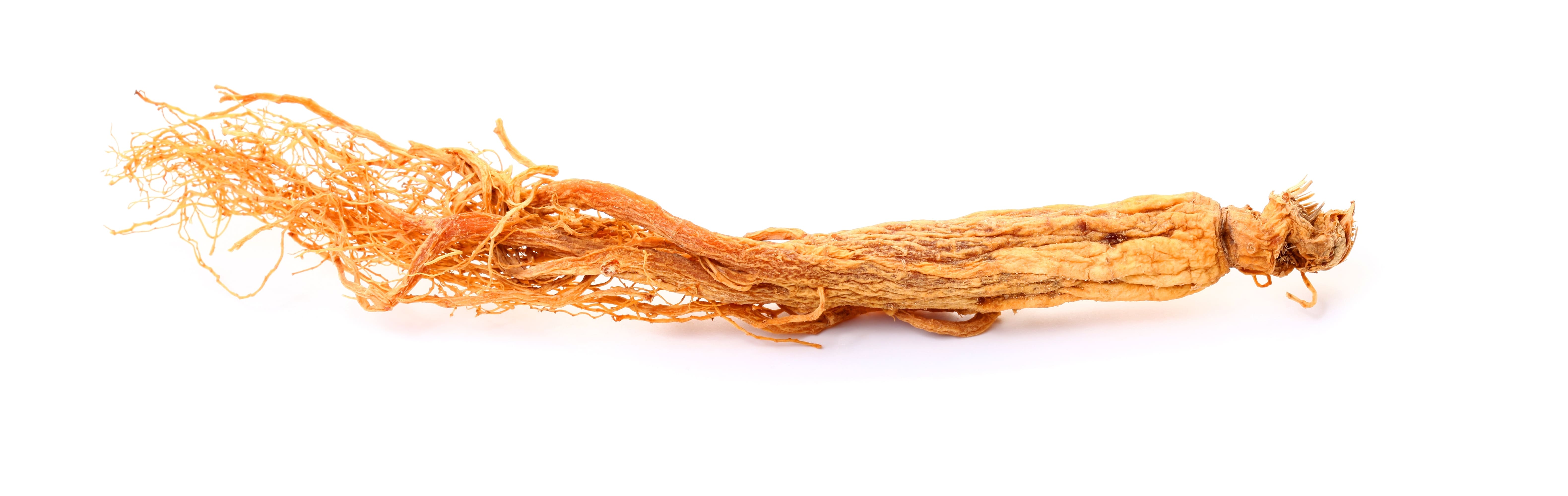 Ginseng-Extrakt von rotem, koreanischem Ginseng stärkt die Haut, fördert die Zellerneuerung und schützt vor freien Radikalen; versorgt auch die Kopfhaut mit Vitalstoffen: reich an Eisen, Zink, Kupfer, Magnesium und Aminosäuren Ginseng-Extrakt von rotem, koreanischem Ginseng stärkt die Haut, fördert die Zellerneuerung und schützt vor freien Radikalen; versorgt auch die Kopfhaut mit Vitalstoffen: reich an Eisen, Zink, Kupfer, Magnesium und Aminosäuren