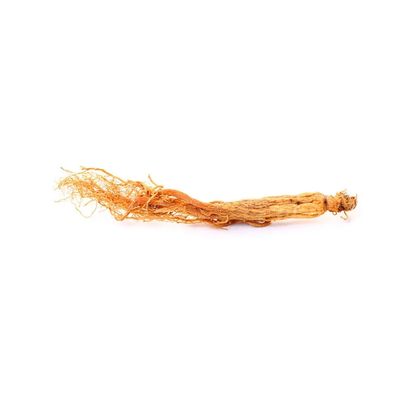 wirkstoff-ginseng.webp