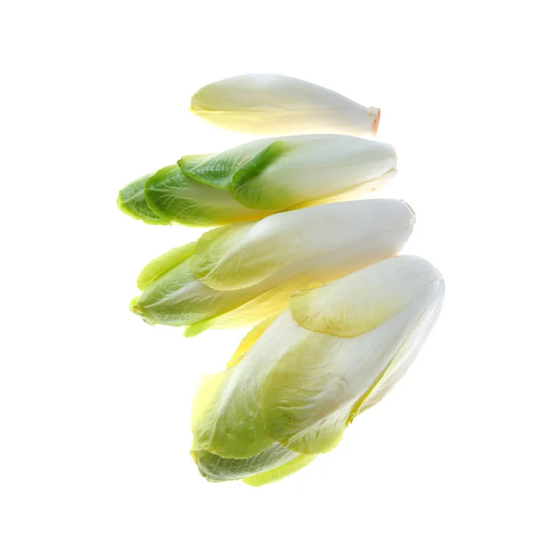 wirkstoff-chicoree-inulin.webp
