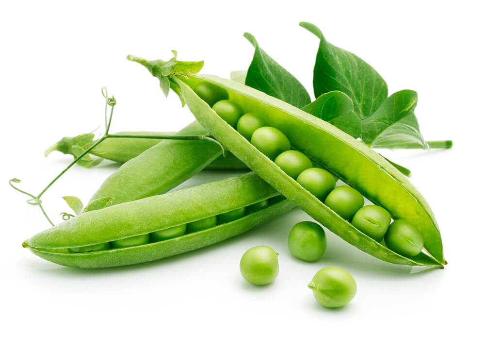 Erbsen-Peptide schützen und bauen das Bindegewebe auf Erbsen-Peptide schützen und bauen das Bindegewebe auf