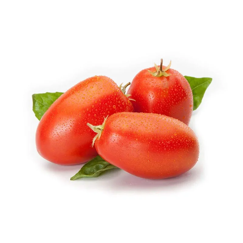 sonnengereifte, italienische Tomaten