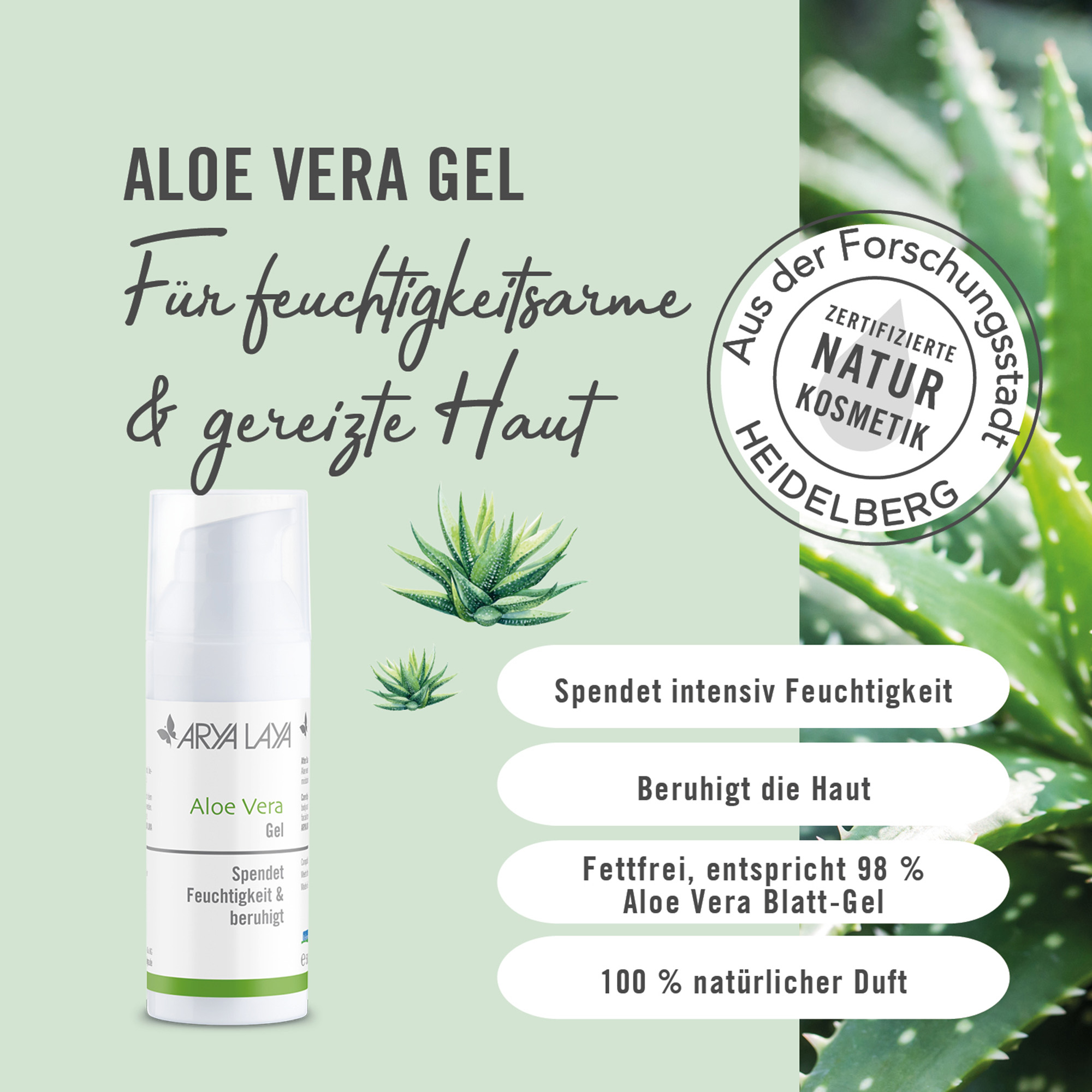 ARYA LAYA Aloe Vera Gel aus Bio Aloe Vera