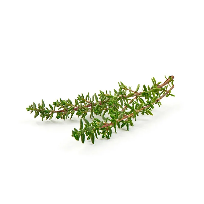 wirkstoff-thymian.webp