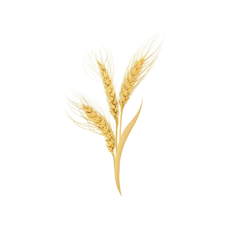 wirkstoff-beta-glucan-fermentierter-hafer.webp