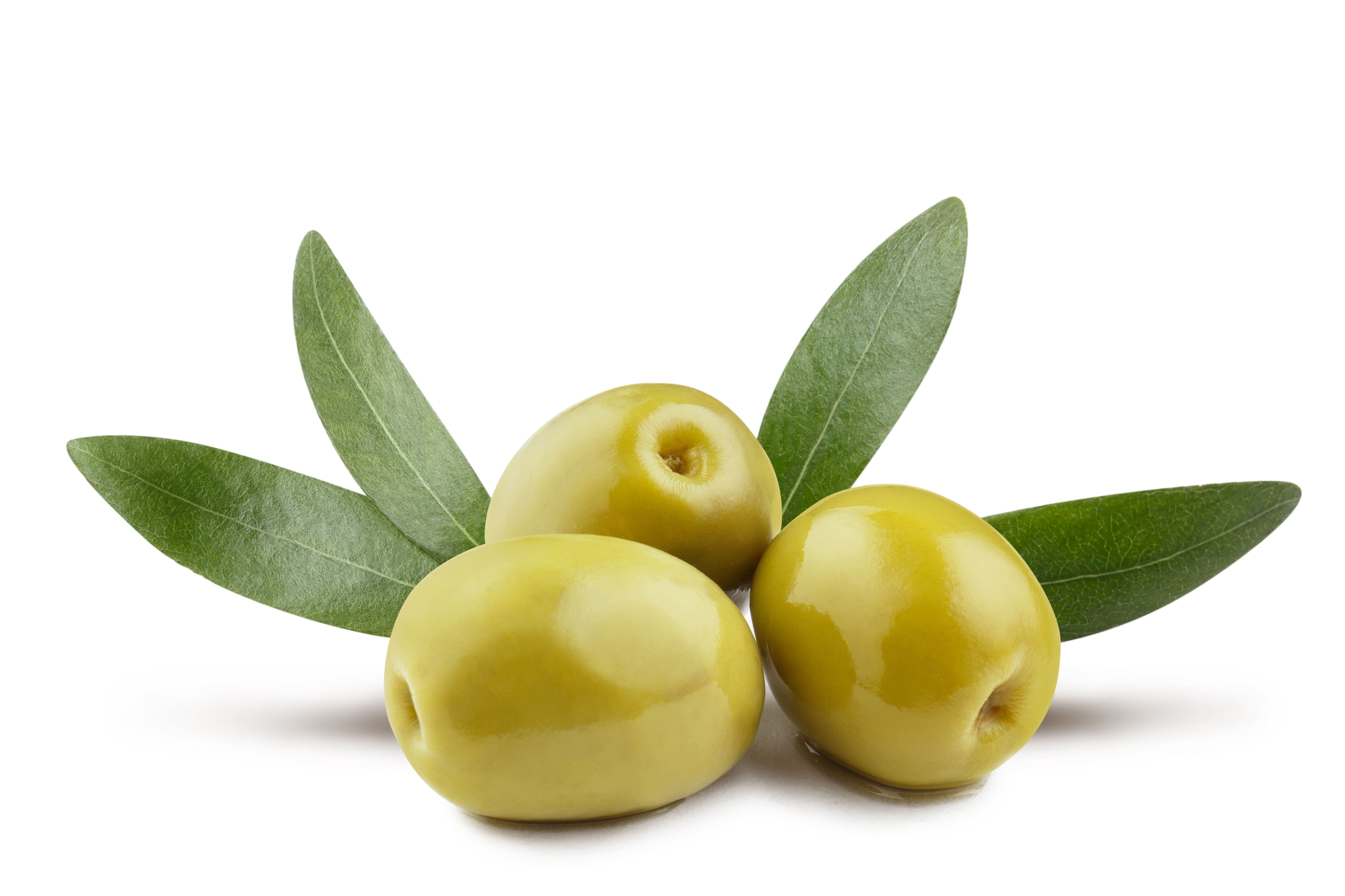 Oliven-Polyphenole schützen die Haut und wirken zellstimulierend