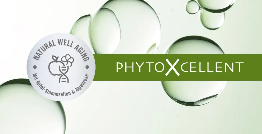 ARYA LAYA PhytoXcellent Schriftzug Schriftzug PhytoXcellent Pflegeserie