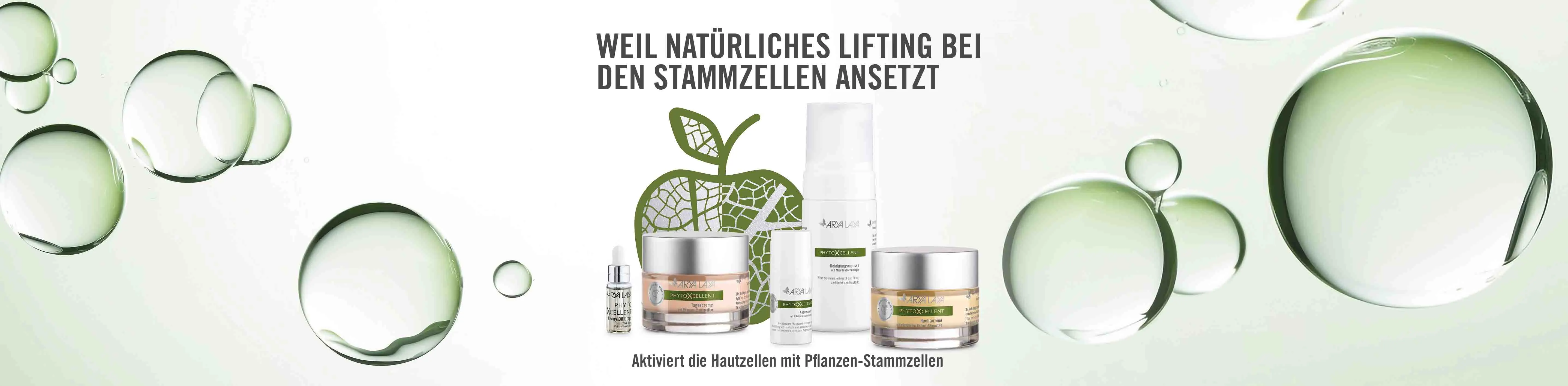 Header Hintergrundinfos ARYA LAYA PhytoXcellent Pflegeserie Weil natürliches Lifting bei den Stammzellen ansetzt