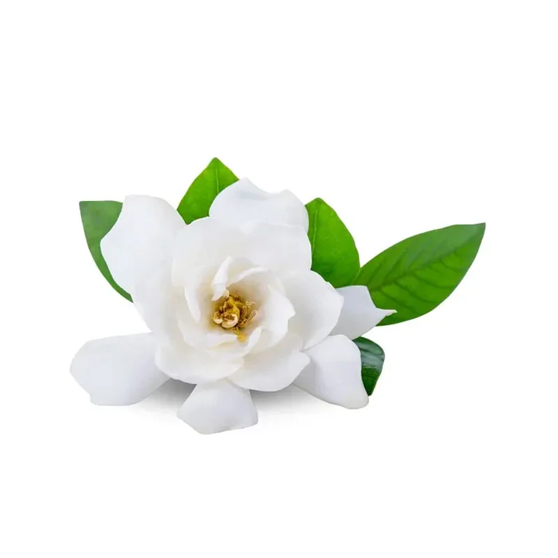 wirkstoff-gardenie.webp
